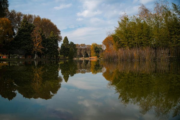 Quelles sont les meilleures pratiques pour la gestion de la fatigue chronique chez les personnes âgées ?